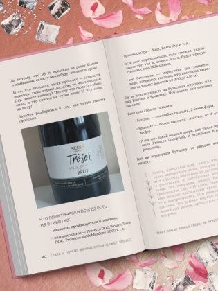 Просекко. Вино с игристым настроением фото книги 7