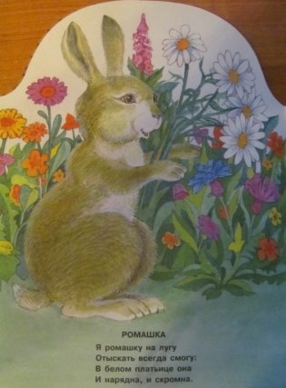 Что нам лето подарило? фото книги 3