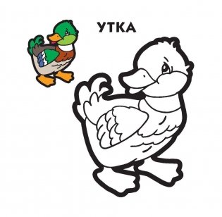 Раскраска фото книги 2