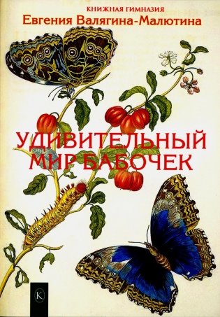 Удивительный мир бабочек фото книги