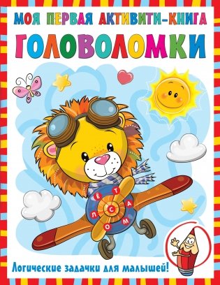 Головоломки фото книги