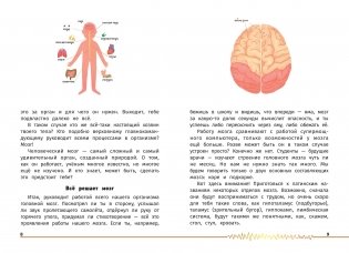 Не просто серое вещество! Изучи свой мозг и включи его! фото книги 3