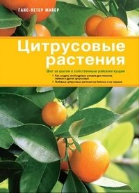 Цитрусовые растения фото книги