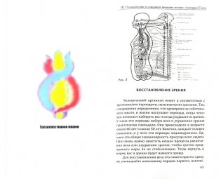 Панацея. Практика лечения солнечной энергией фото книги 2