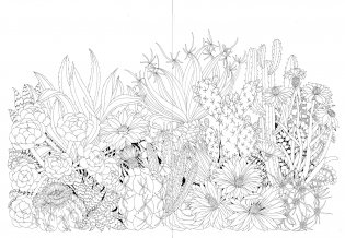 Leila Duly's Beautiful Planet: An Intricate Coloring Book фото книги 4