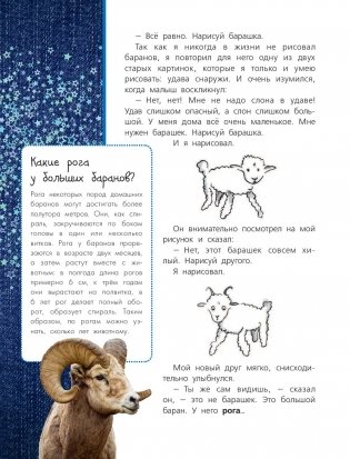 Маленький принц фото книги 3