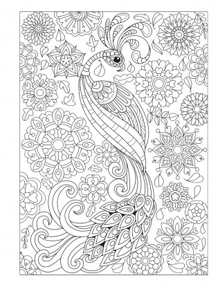 Creative Haven Fanciful Birds coloring book фото книги 9