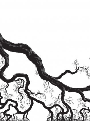 Рождественский бестиарий фото книги 3