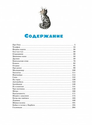 Большая книга рассказов фото книги 8