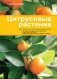 Цитрусовые растения фото книги маленькое 2