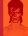 David Bowie is фото книги маленькое 2