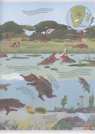 Большой атлас животных в картинках фото книги 6