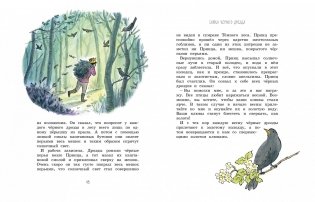 Волшебные сказки круглый год фото книги 6