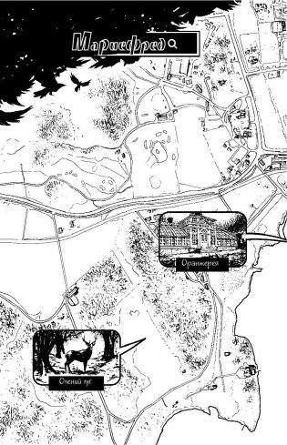 Магический посох фото книги 7