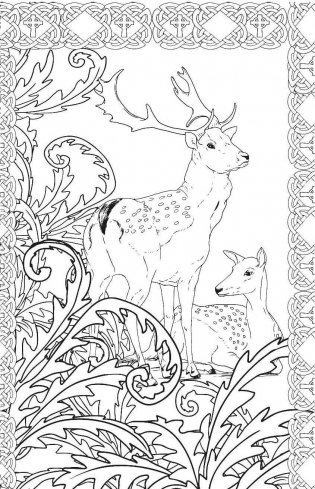 Загадочный лес. Мини-раскраска-антистресс для творчества и вдохновения фото книги 9