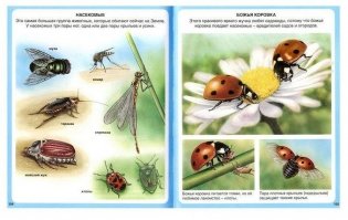 Животные фото книги 4