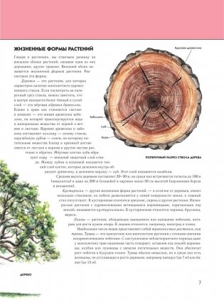 Растения: полная энциклопедия фото книги 6