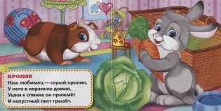 Мои друзья фото книги 3