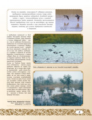 50 лучших мест для охоты в России фото книги 6