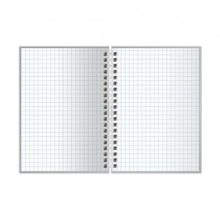 Записная книжка А6 96 листов, на гребне BG "Apricot Crush", глянцевая ламинация, тиснение фольгой, твердая обложка. Арт. ЗКТ6гр96_лг_тф 57207 фото книги 2