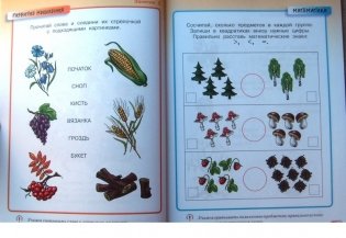 Грамотейка. Интеллектуальное развитие детей 5-6 лет фото книги 4