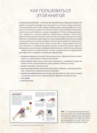 Анатомия балансов на руках и перевернутых поз фото книги 4