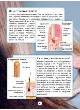 Тело человека. Серия "99 захватывающих фактов" фото книги 2