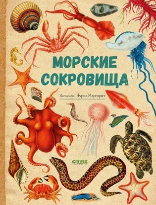 Морские сокровища фото книги