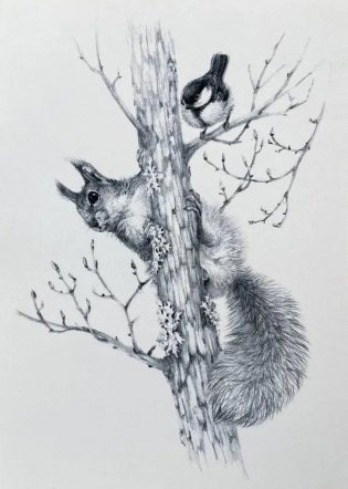 Открытка "Иду по тайге. Белка" фото книги