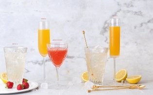 Практическая миксология. Девайсы. Техники. Ингредиенты фото книги 2