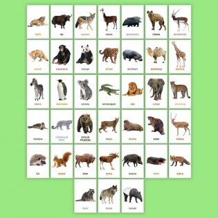 Развивающие карточки. Дикие животные фото книги 4