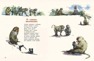 Про обезьян фото книги 5