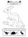 Травоядные динозавры фото книги маленькое 6