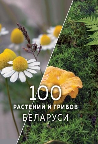 100 растений и грибов Беларуси фото книги