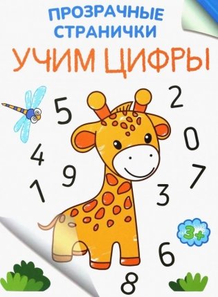 Учим цифры фото книги