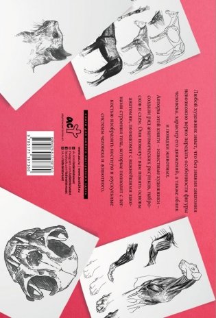Анатомия для художников. Альбом для скетчинга фото книги 2