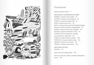 Синий слон фото книги 2