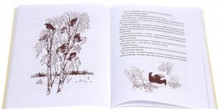 Я учил их птицам фото книги 3