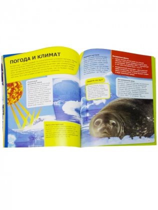 Детская энциклопедия. Антарктика. Развивающая книга фото книги 2