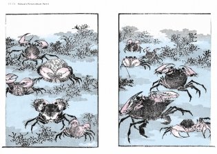 Hokusai`s Method фото книги 9