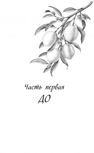 Когда жизнь подкидывает тебе лимоны фото книги 8