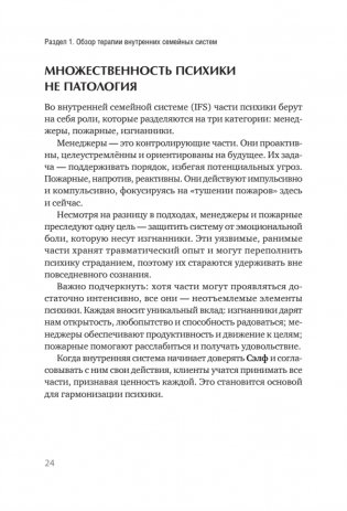 Внутренние семейные системы: терапия зависимостей фото книги 7