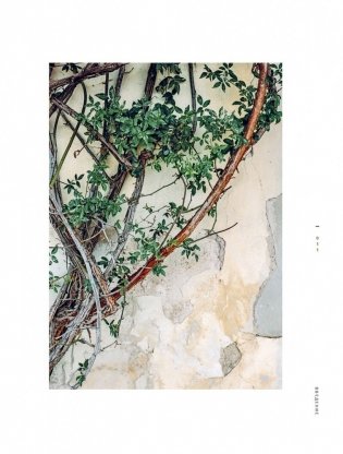 Ваби-саби. Гостеприимство по-японски фото книги 6