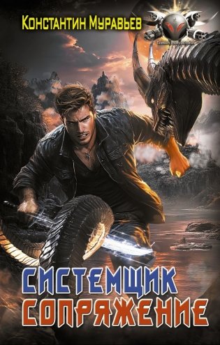 Системщик. Сопряжение фото книги