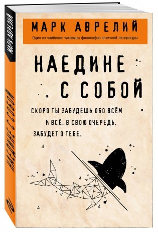 Наедине с собой фото книги 2