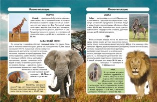 Мир вокруг нас. Кто сколько живет? Фотоэнциклопедия фото книги 2