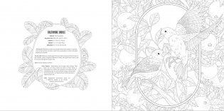 Animals Coloring Book Box Set фото книги 6