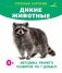 Дикие животные фото книги маленькое 2