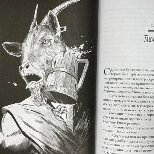 Джанга с тенями. Коллекционное издание фото книги 5