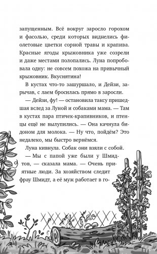 Ключик для Луны (#1) фото книги 16